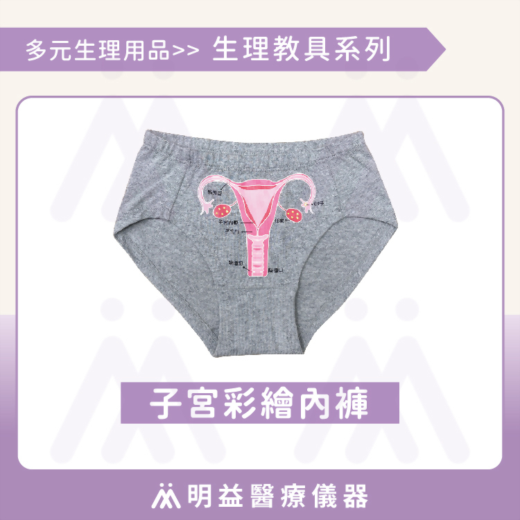 子宮彩繪內褲 教具內褲