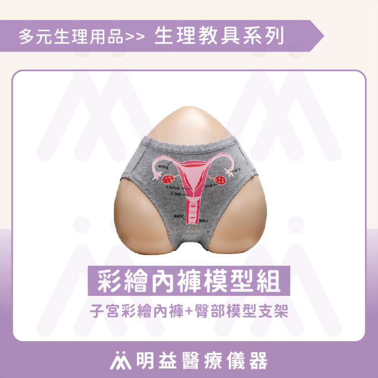 子宮彩繪內褲+臀部模型支架 教具