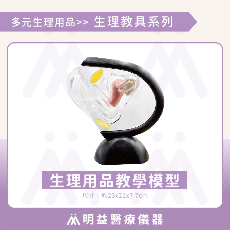 生理用品教學模型(23x21x7.7cm)