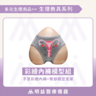 子宮彩繪內褲+臀部模型支架 教具