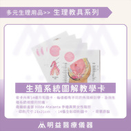 生殖系統圖解教學卡