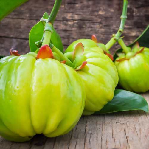 約諾麗孅姿藤黃果膠囊 Garcina Cambogia capsules