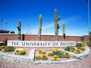 亞利桑那大學 University of Arizona 亞利桑那大學 University of Arizona
