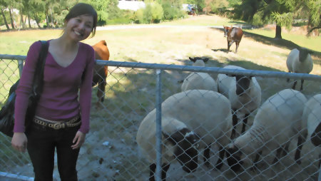 英語課程+農莊寄宿安排 English + Farmstay Placement