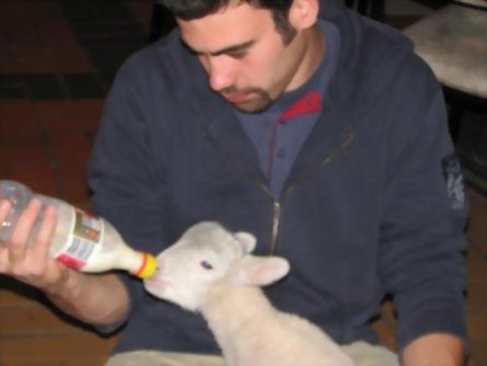 英語課程+農莊假期 English + Farm Holiday