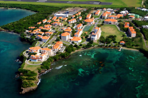 聖喬治大學St. George University