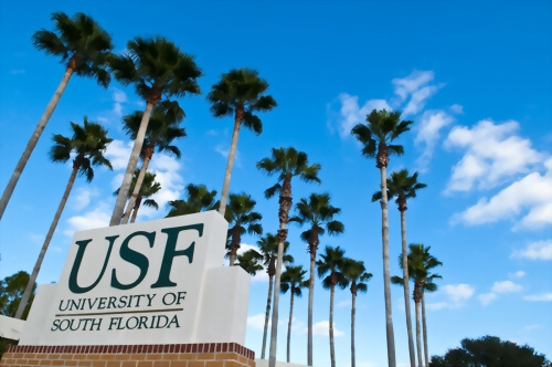 南佛羅里達大學 University of South Florida
