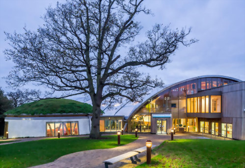 艾塞克斯大學 University of Essex