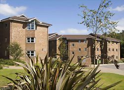 蘇賽克斯大學 University of Sussex