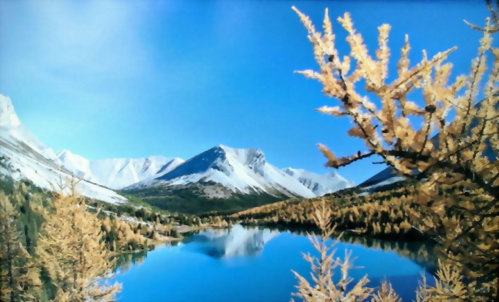 2020暑期遊學團-加拿大溫哥華博學英語學院密集課程+洛磯山脈之旅25天