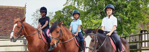 École des Roches-法語/英語-騎馬課程 French/English-Horse Riding