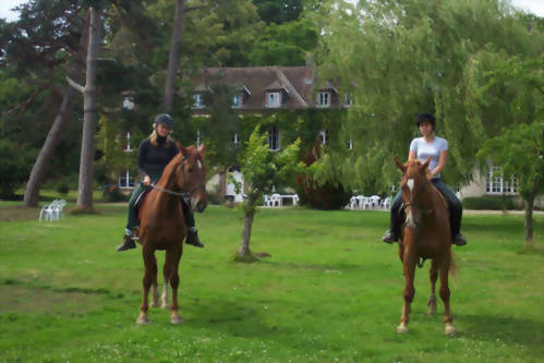 2019 法語/英語-騎馬課程 French/English-Horse Riding