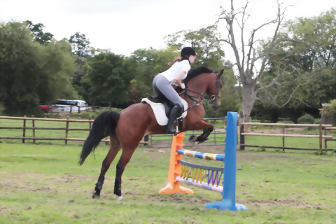 2019 英語加騎馬課程-New Hall School