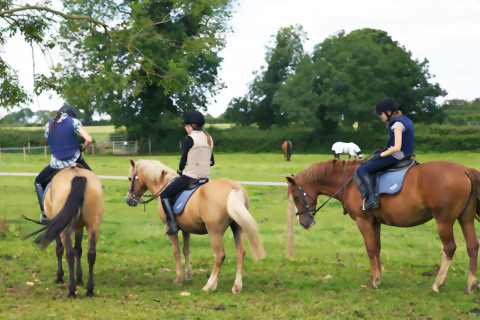 BSC-英語加騎馬課程-Wycliffe College