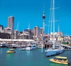 Eurocentre_奧克蘭分校