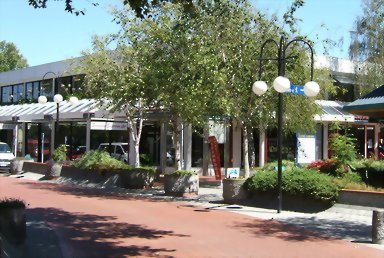 New Horizon College Of English 新地平線英語學院