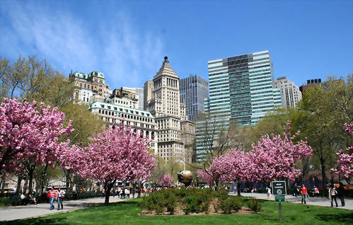 GEOS New York 紐約分校