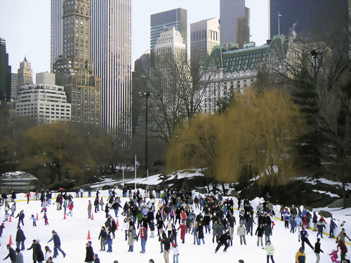 LSI New York 紐約分校