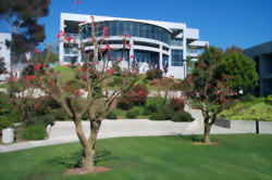 ELI_加州大學聖地牙哥分校(UCSD)