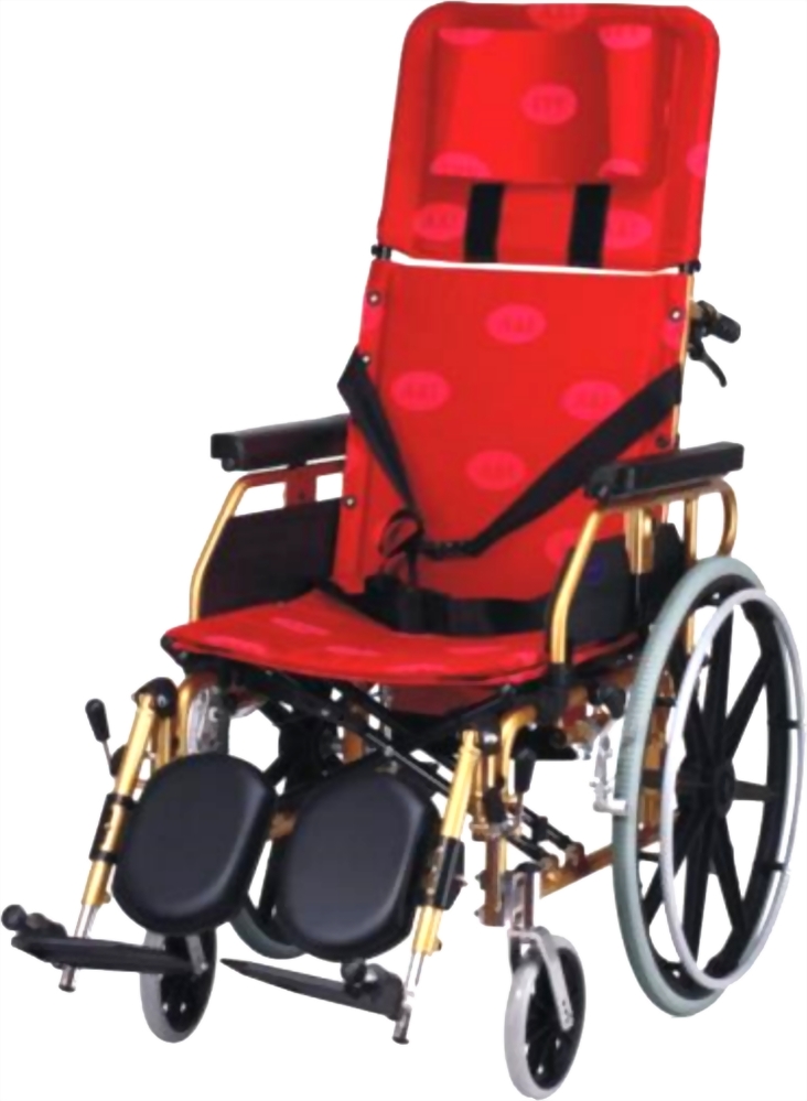 二手租借-鋁合金特製輪椅