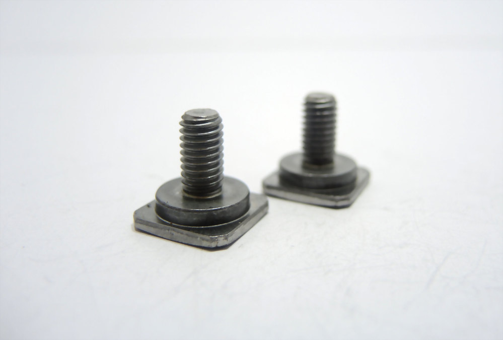 10 Customized Screws
