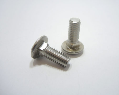 Stainless Carriage Bolts