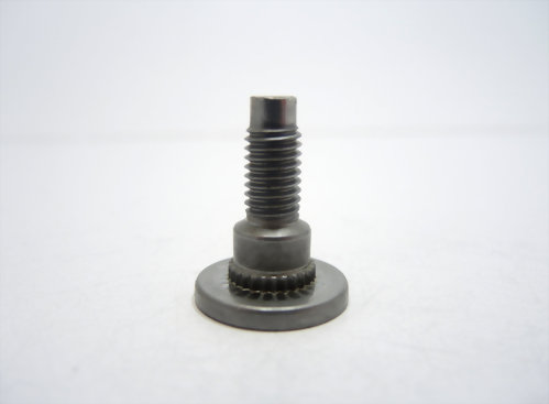 08 Customized Screws