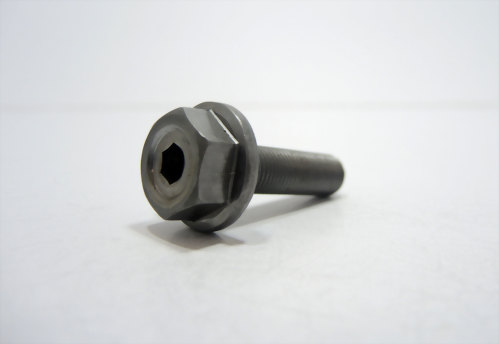 09 Customized Screws