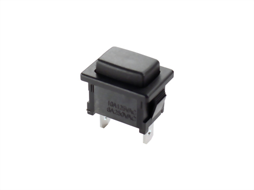PUSH SWITCH (SPR13-516A)