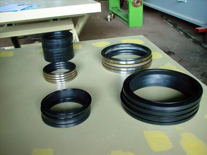 Oil Seal for Veneer Rotary