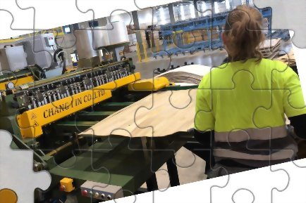 Received an order from a Spain plywood production company