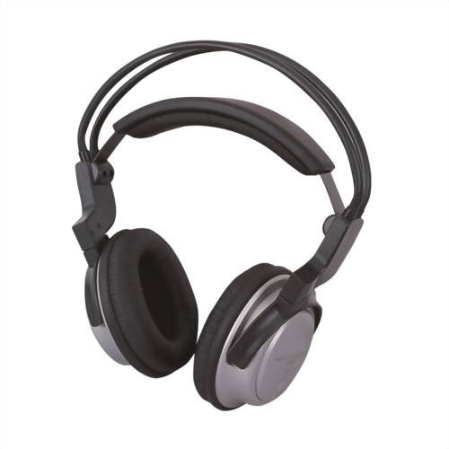 Bass Enhanced Headphones H880DJ