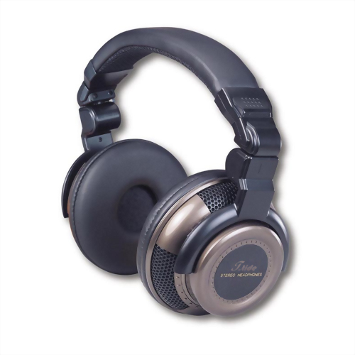 Bass Enhanced Headphones H900DJ