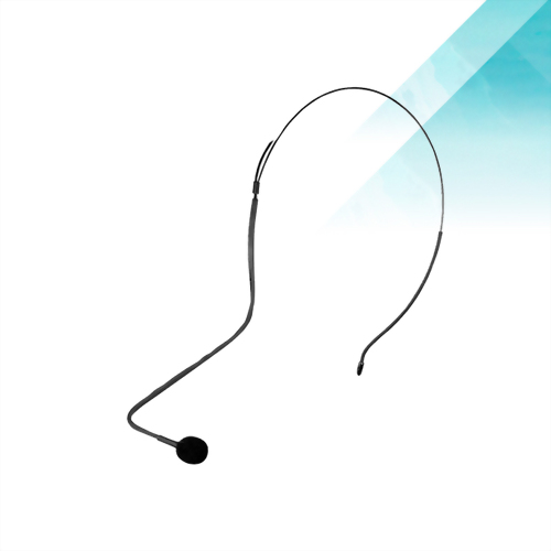 Head-worn Microphones