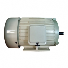 AC Industrial Motor