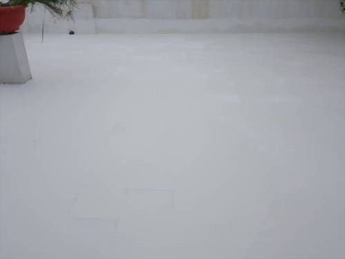 高雄凱旋二路民宅屋頂