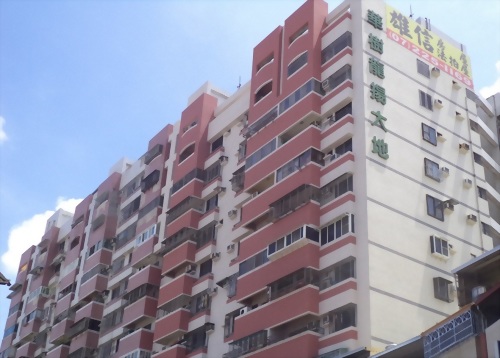 高雄華樹龍揚大地