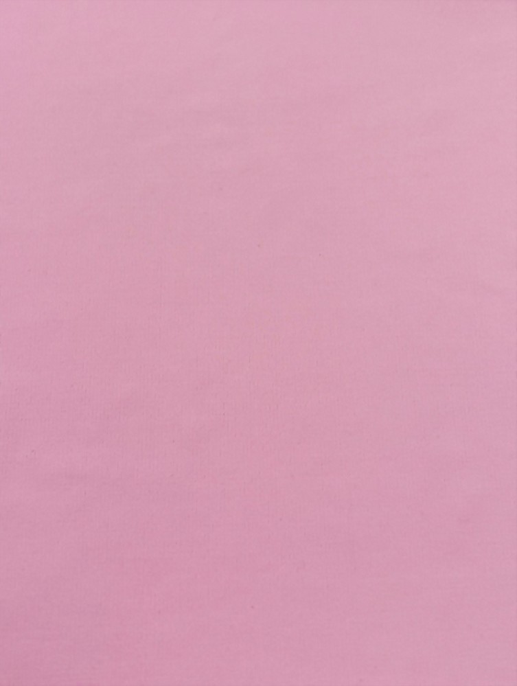 Polyester / Spandex Single Jersey