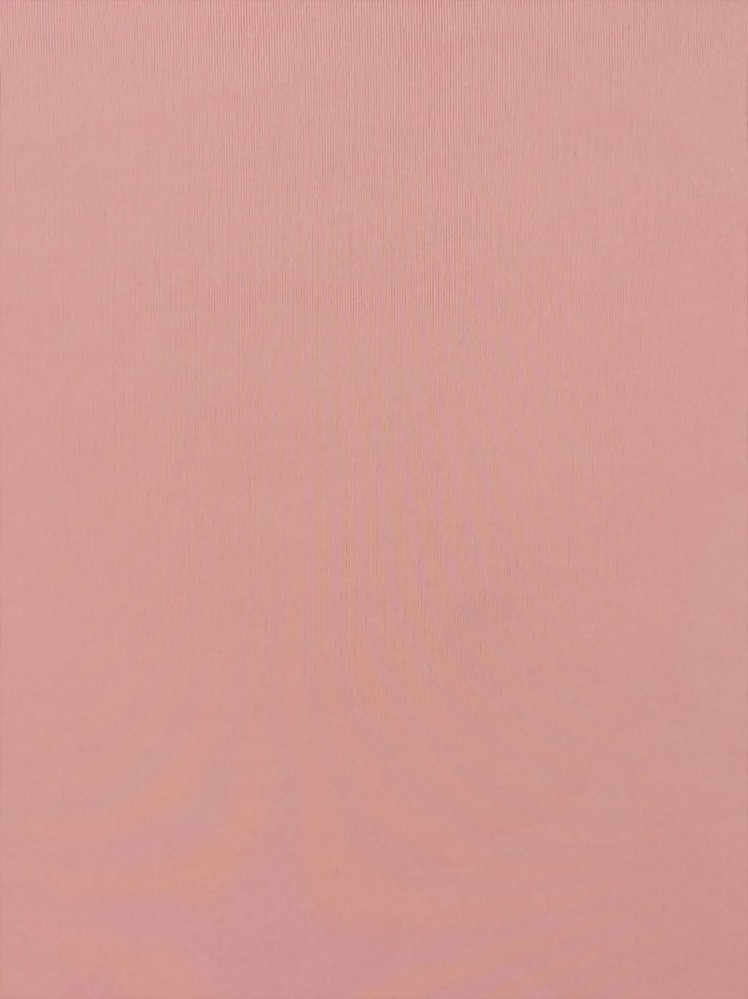 Nylon / Spandex  Single Jersey