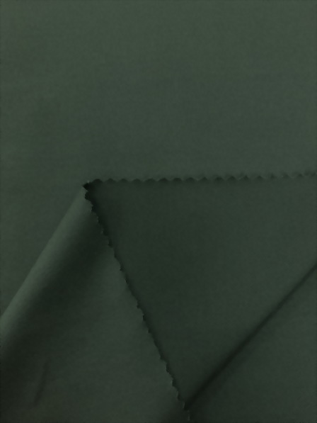 Recycled Poly(farinfared/wicking) & Spandex Jacquard