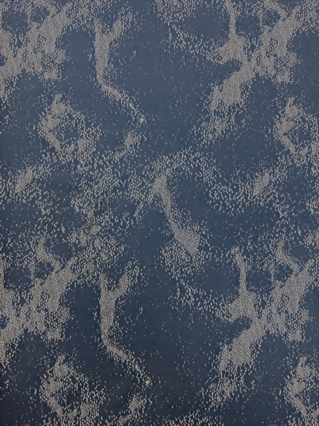 Polyester / Spandex Wicking Jacquard