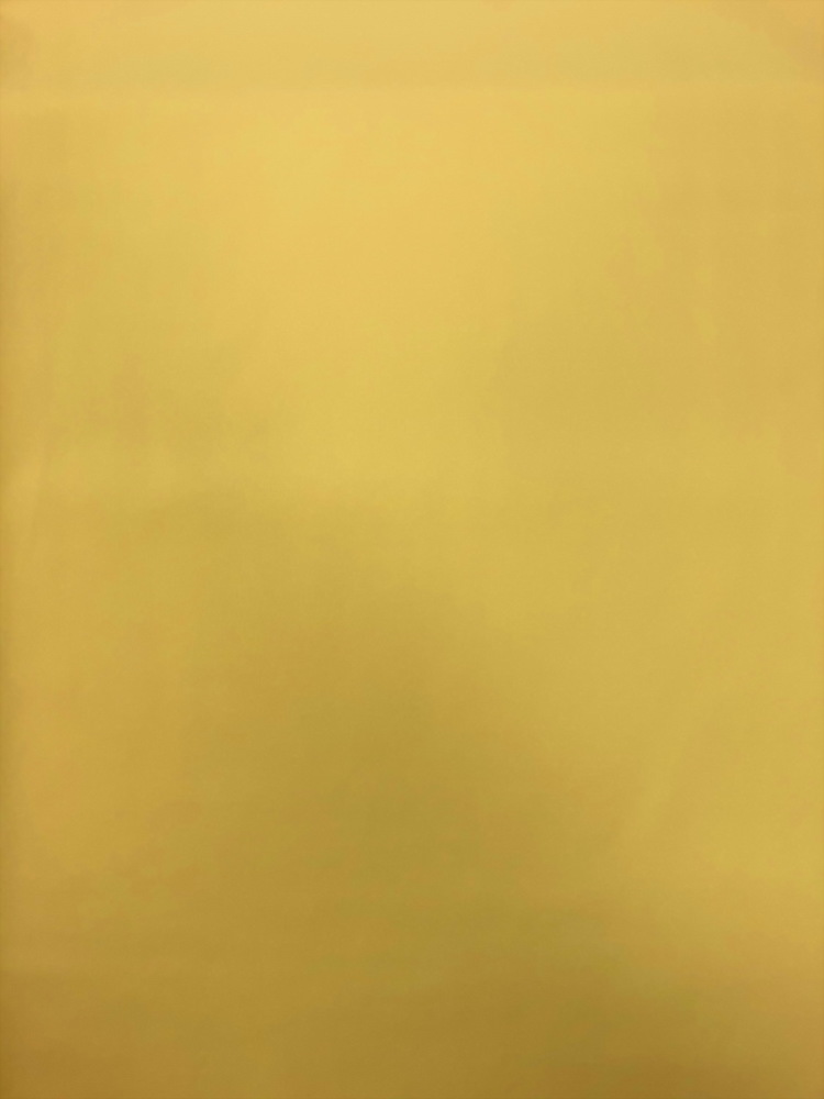 Polyester / Spandex Wicking Jersey