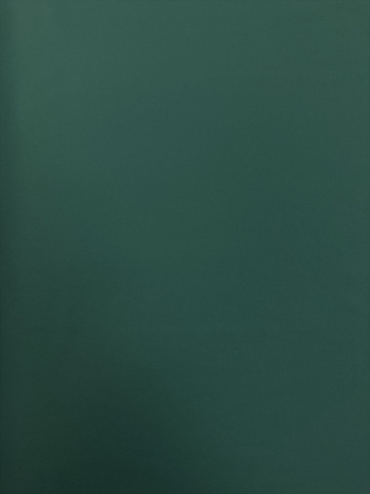 Polyester / Spandex Anti-Bacterial Jersey