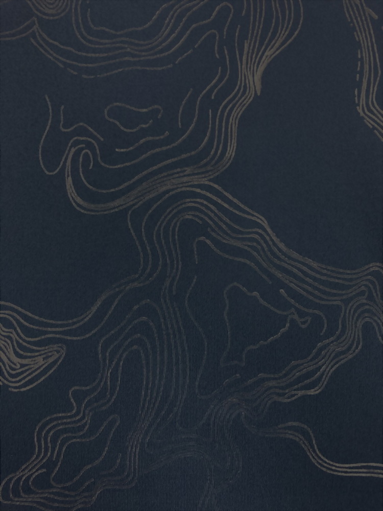 Polyester / Spandex Foil Jersey