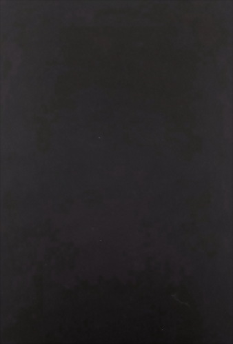 Nylon / Spandex Brushed/Moss Double Knit