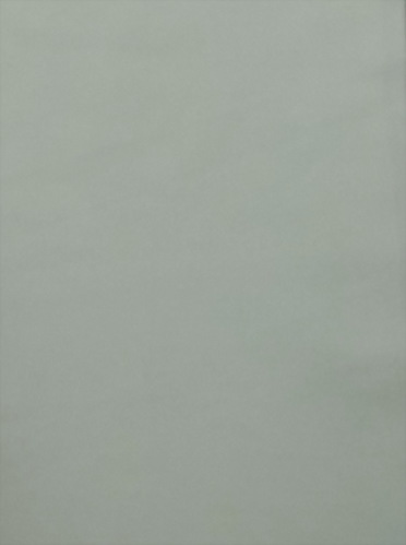 Nylon / Spandex Brushed/Moss Double Knit