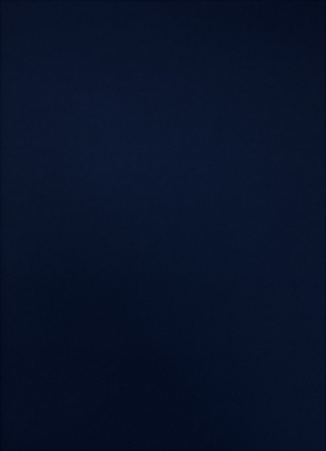 Nylon / Polyester / Spandex Wicking Jacquard