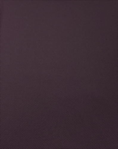 Polyester / Nylon / Spandex Bamboo and Anti-Bacterial  Jacquard