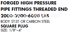 fg-sqplg-th-2a.png
