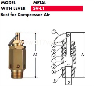 sv-l1_1.jpg